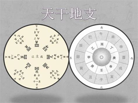 五行關係|第10講 第一章 第二節 五行學說：基本內容 在中醫學中的運用